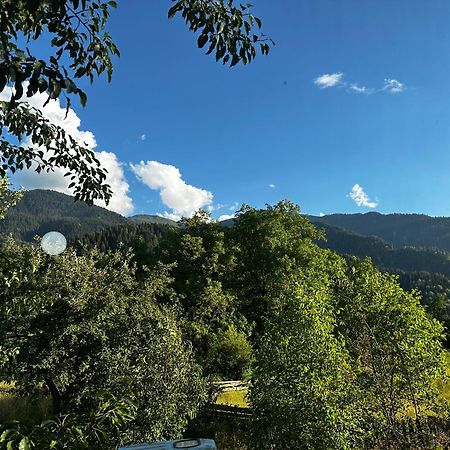 Ecohouse Svaneti 메스티아 외부 사진
