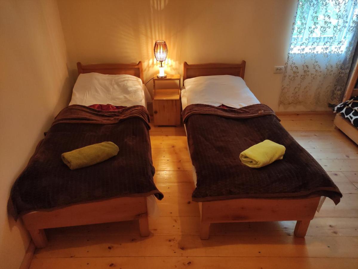Ecohouse Svaneti 메스티아 외부 사진