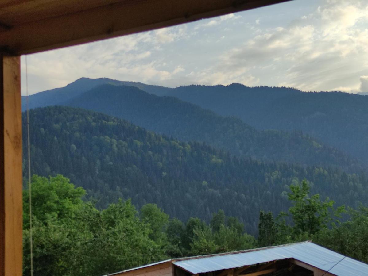 Ecohouse Svaneti 메스티아 외부 사진
