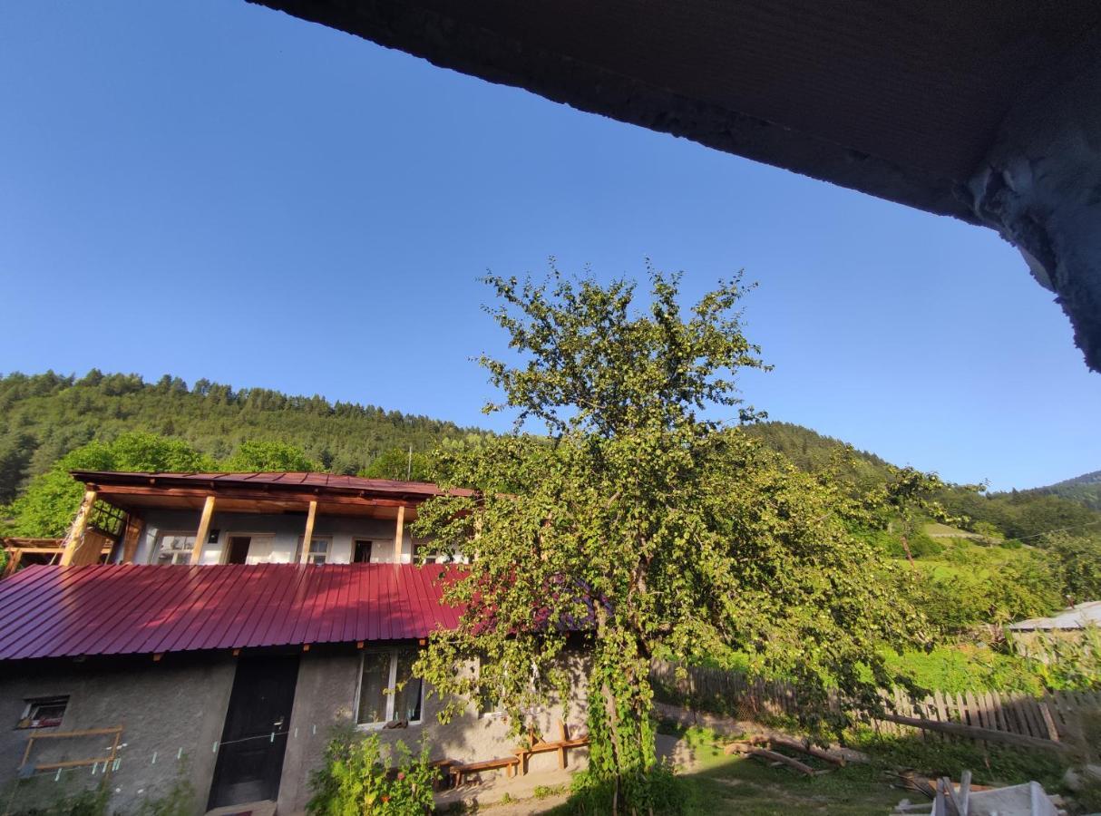 Ecohouse Svaneti 메스티아 외부 사진