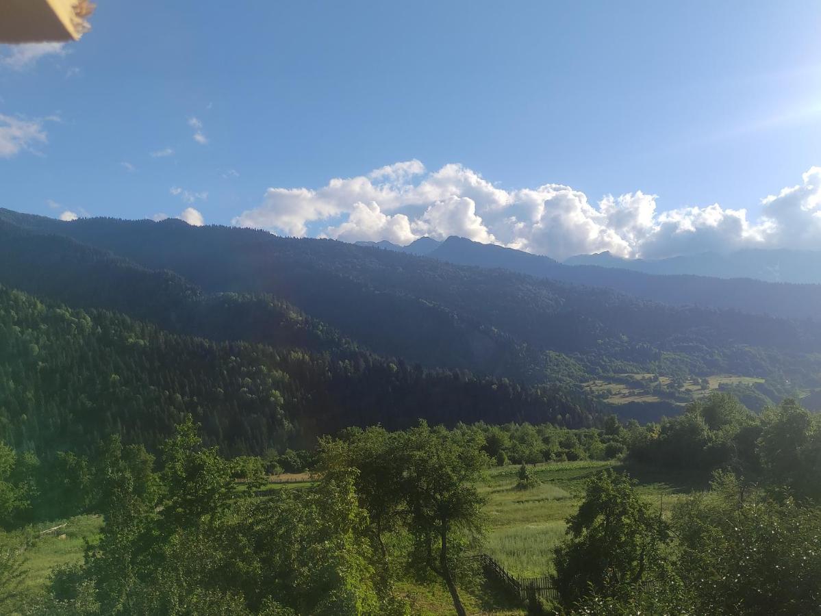 Ecohouse Svaneti 메스티아 외부 사진