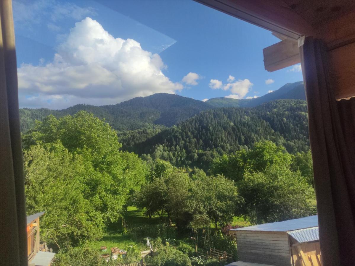 Ecohouse Svaneti 메스티아 외부 사진