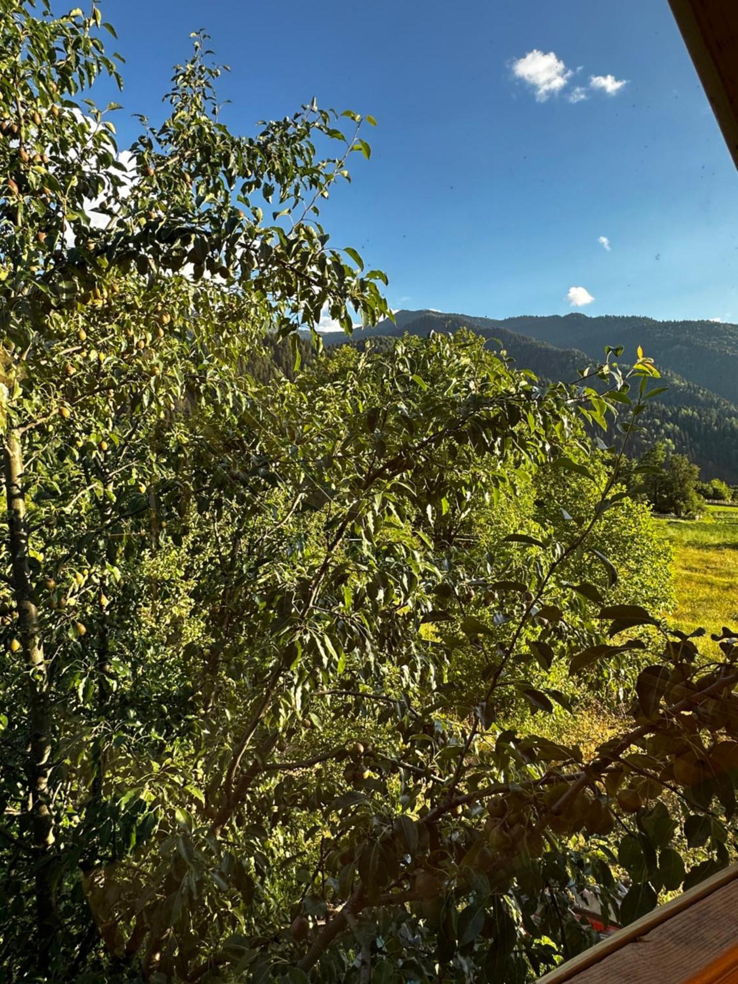 Ecohouse Svaneti 메스티아 외부 사진
