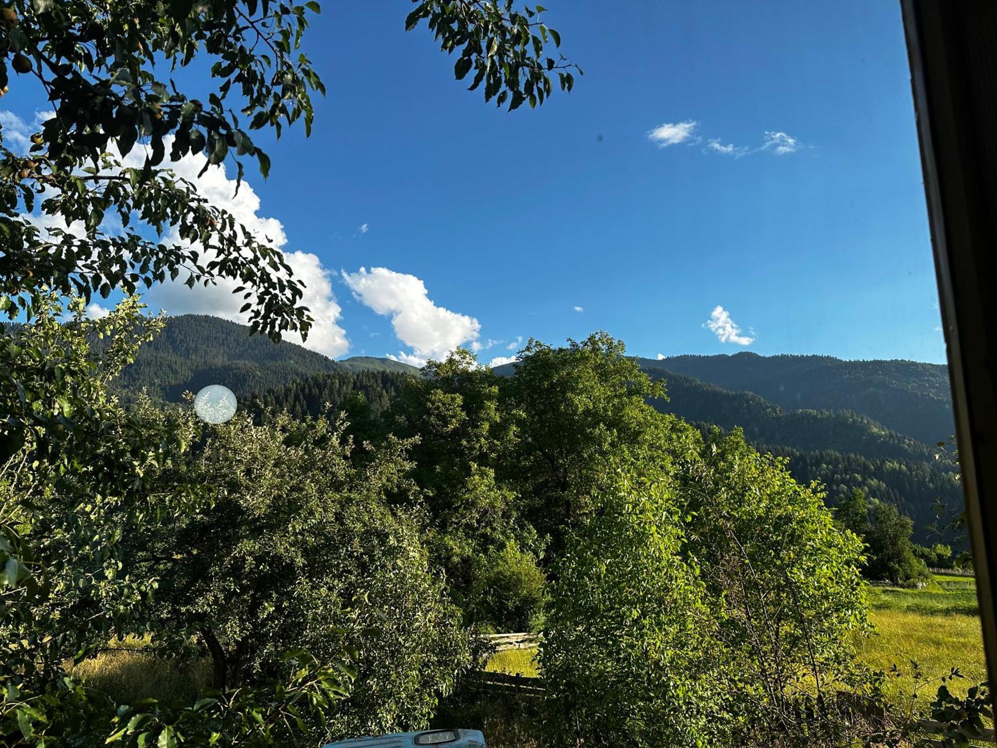 Ecohouse Svaneti 메스티아 외부 사진