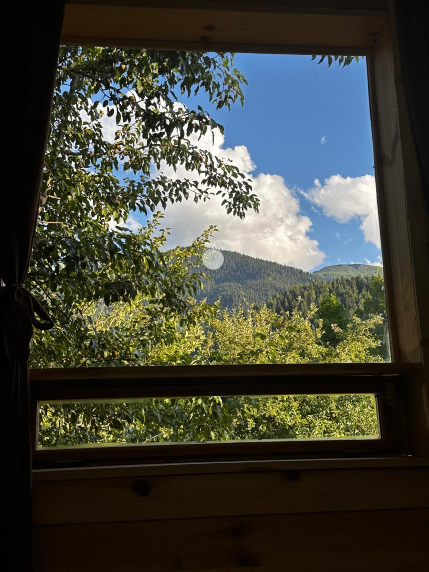 Ecohouse Svaneti 메스티아 외부 사진