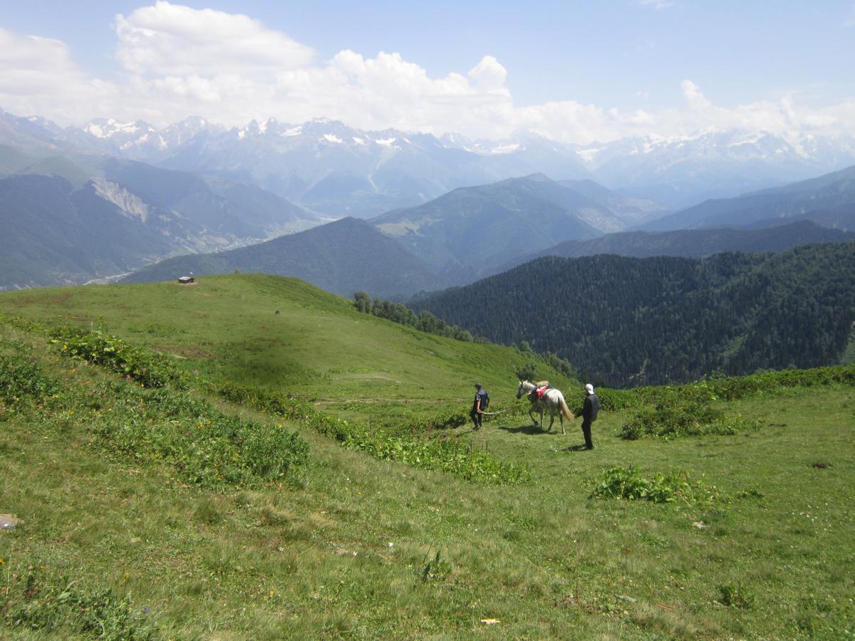 Ecohouse Svaneti 메스티아 외부 사진