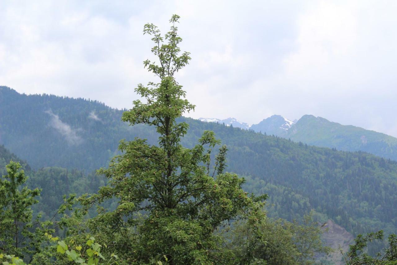 Ecohouse Svaneti 메스티아 외부 사진